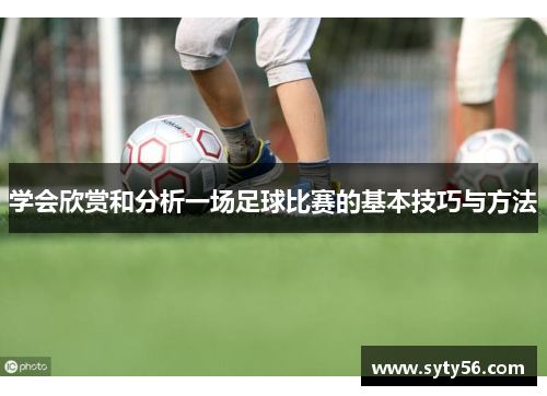 学会欣赏和分析一场足球比赛的基本技巧与方法