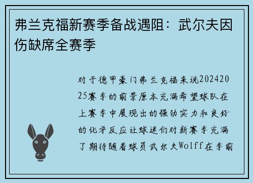 弗兰克福新赛季备战遇阻：武尔夫因伤缺席全赛季